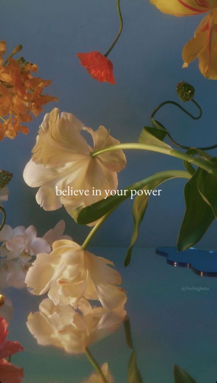 Manifestation Journal